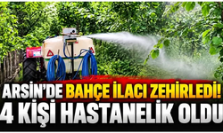 Trabzon’da fındık bahçesinde zehirlenme! 4 kişi hastanelik oldu