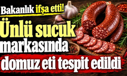 Bakanlık ifşa etti! Ünlü sucuk markasında domuz eti tespit edildi