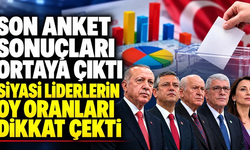 Son anket açıklandı! Erdoğan ve Özel arasındaki fark dikkat çekti