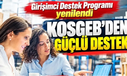 Girişimcilere 264 bin TL hibe desteği!