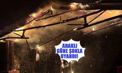 Araklı Güne Şok Görüntü İle Uyandı!