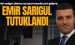 Emir Sarıgül tutuklandı