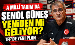 A Milli Takım'ın yeni teknik direktörü kim olacak! Şenol Güneş sürprizi...
