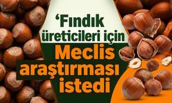 Fındık üreticileri için Meclis araştırması istedi