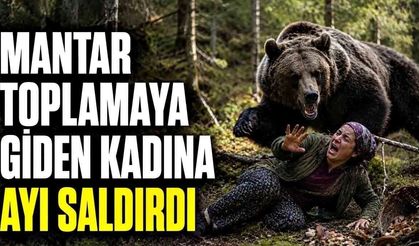 Gümüşhane'de feci olay! Mantar toplayan kadına ayı saldırdı