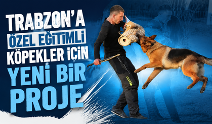 Trabzon’a özel eğitimli köpekler için yeni bir proje