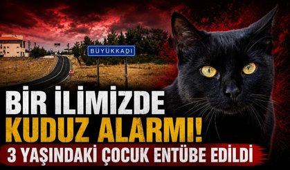Kedinin ısırdığı 3 yaşındaki çocuk entübe edildi! Kuduz testi pozitif çıktı