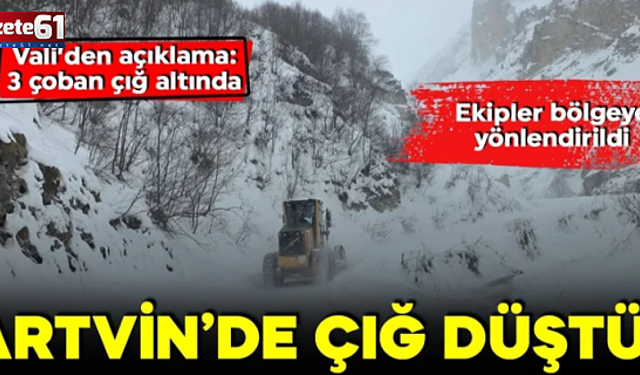 Artvin'de çığ meydana geldi! 3 çoban çığ altında kaldı!