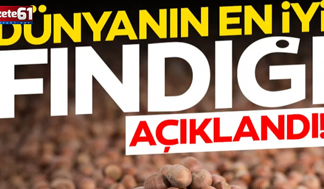 Dünyanın en iyi fındığı açıklandı: Türkiye’den o ilimiz listeye damgasını vurdu!