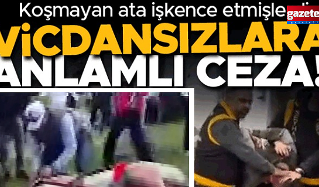 Koşmayan ata şiddet uygulamışlardı! O vicdansızlara dikkat çeken ceza