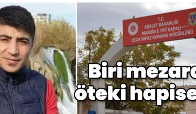 Mardin’de Kardeş Kavgası Cinayetle Bitti: Biri Mezara, Diğeri Cezaevine