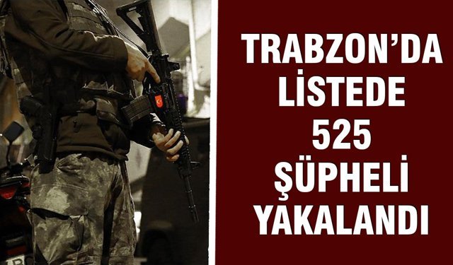 56 İlde Deaş Operasyonu