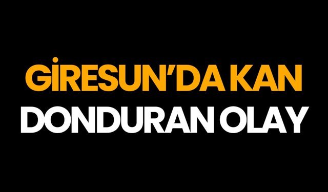 Giresun’da Kan Donduran Olay