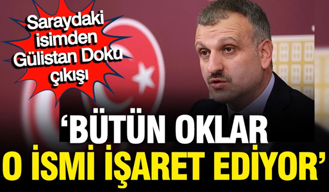 Erdoğan'ın danışmanından Gülistan Doku çıkışı: Bütün oklar Valinin oğlunu işaret ediyor