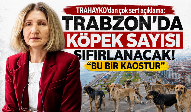 TRAHAYKO’dan çok sert açıklama: “Trabzon’da köpek sayısı sıfırlanacak! Bu bir kaostur”