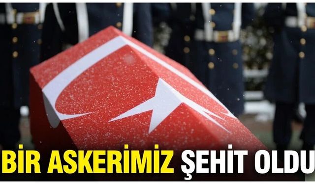 Otomobilin çarptığı jandarma astsubay şehit oldu