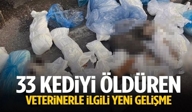 33 KEDİYİ ÖLDÜREN VETERİNER TUTUKLANDI