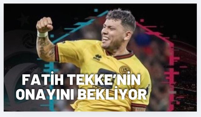 Trabzonspor’dan orta sahaya Gustavo Hamer planı!