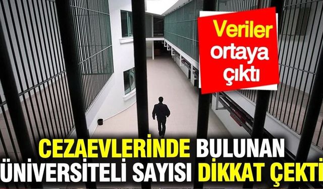 Cezaevlerinde 25 binden fazla üniversite mezunu bulunuyor