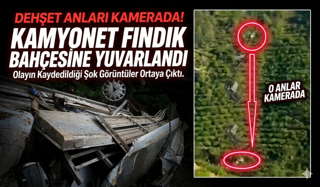 Kamyonetin fındık bahçesine yuvarlandığı kaza kamerada…