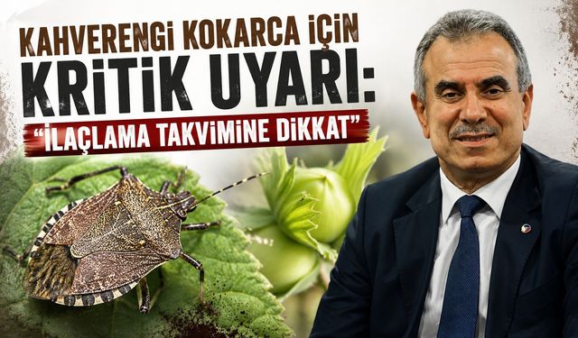 Kahverengi Kokarca İçin Kritik Uyarı: “İlaçlama Takvimine Dikkat”