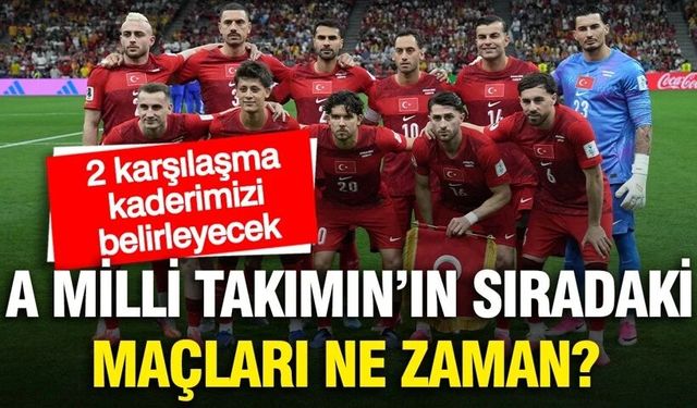 Dünya Kupası'na mağlubiyetle başlayan A Milli Takım'ın sıradaki maçları ne zaman?