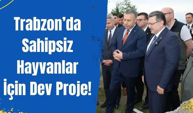 Trabzon’da Sahipsiz Hayvanlar İçin Dev Proje!