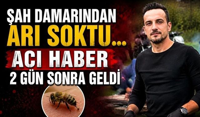 Şah damarından sokan arı felaketi getirdi!