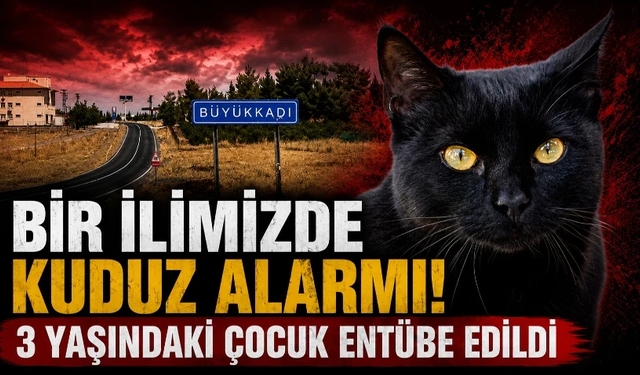 Kedinin ısırdığı 3 yaşındaki çocuk entübe edildi! Kuduz testi pozitif çıktı