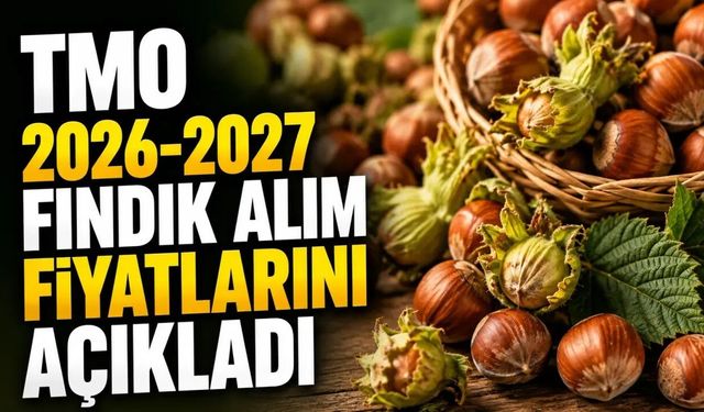 TMO 2026- 2027 fındık alım fiyatlarını açıkladı