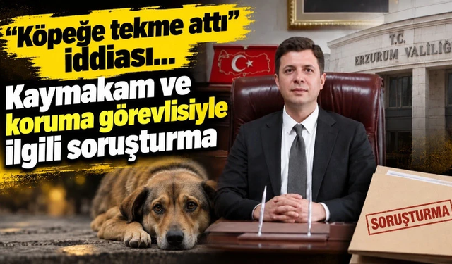 'Köpeğe tekme attı' iddiası... Kaymakam ve koruma görevlisiyle ilgili soruşturma