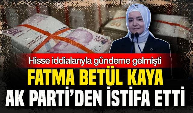 Eski Bakan Betül Sayan Kaya bütün görevlerinden affını istedi