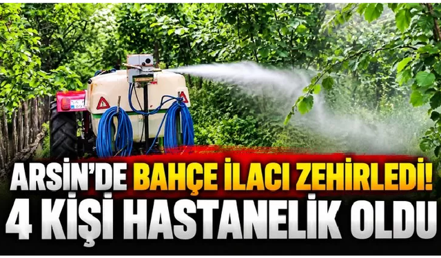 Trabzon’da fındık bahçesinde zehirlenme! 4 kişi hastanelik oldu