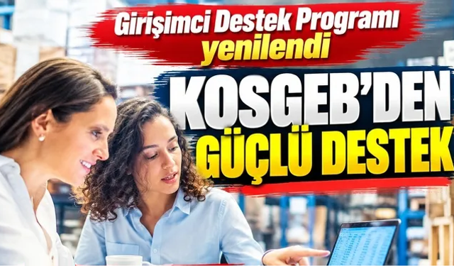Girişimcilere 264 bin TL hibe desteği!
