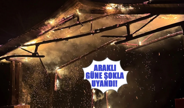 Araklı Güne Şok Görüntü İle Uyandı!