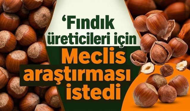 Fındık üreticileri için Meclis araştırması istedi