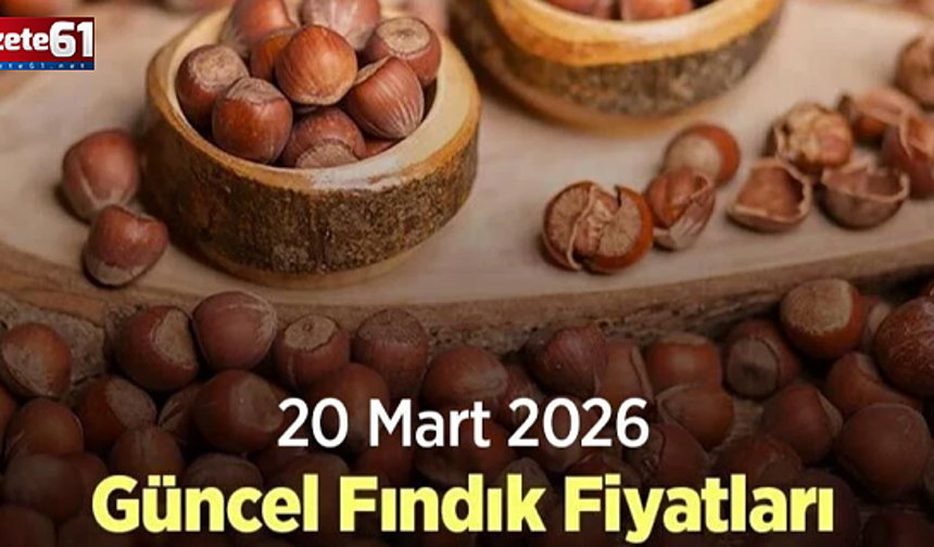 20 Mart 2026 Güncel Fındık Fiyatları