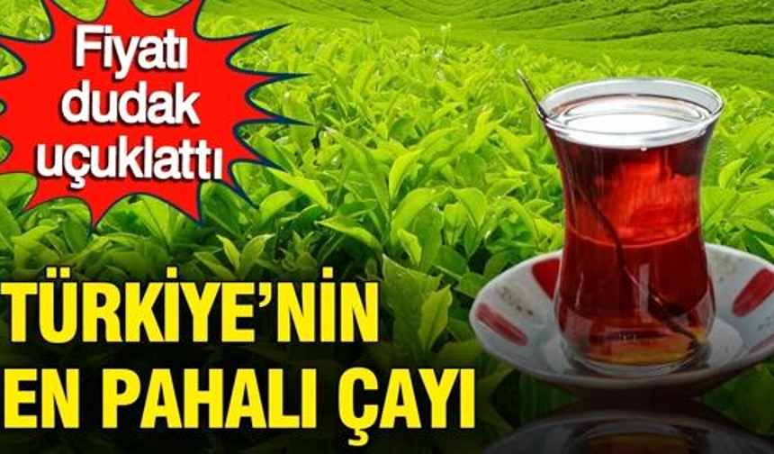 Türkiye'nin en pahalı çayı, fiyatı dudak uçuklattı