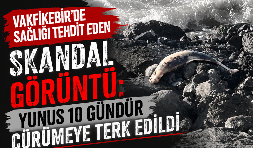 Vakfıkebir'de sağlığı tehdit eden Skandal Görüntü: Yunus 10 Gündür Çürümeye Terk Edildi