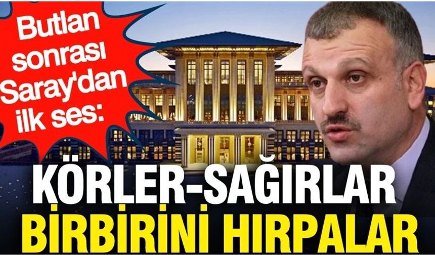 Butlan sonrası Saray'dan ilk ses: Körler-sağırlar birbirini hırpalar