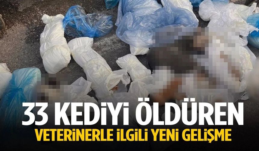 33 KEDİYİ ÖLDÜREN VETERİNER TUTUKLANDI