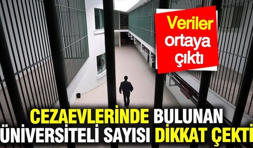 Cezaevlerinde 25 binden fazla üniversite mezunu bulunuyor