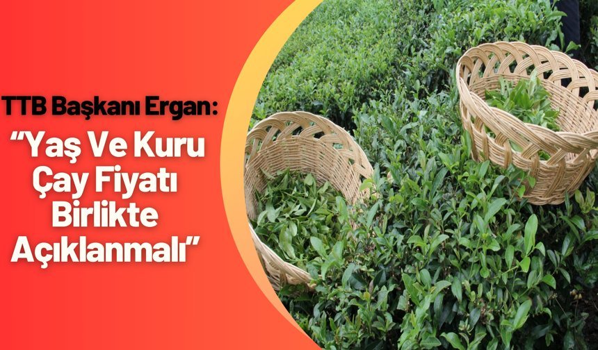TTB Başkanı Ergan: “Yaş Ve Kuru Çay Fiyatı Birlikte Açıklanmalı”