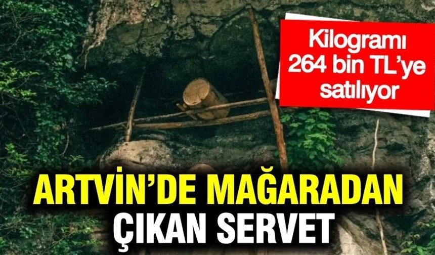 Artvin’de mağaradan çıkan servet: Kilogramı 264 bin TL’ye satılıyor