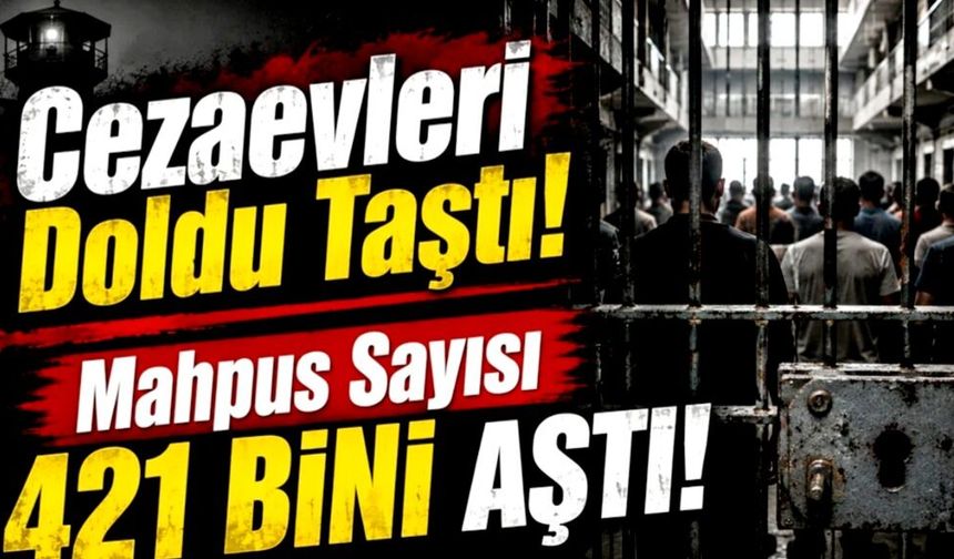 Yılın dolmasına 5 ay kala suç oranlarında patlama var