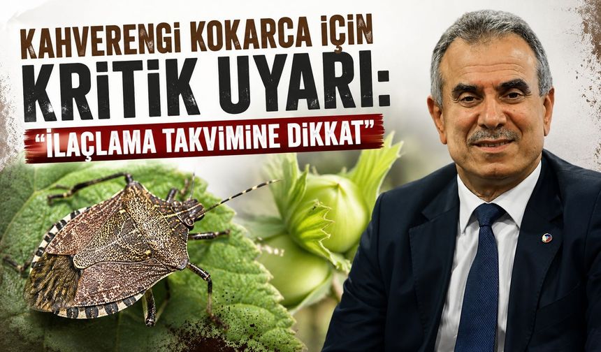 Kahverengi Kokarca İçin Kritik Uyarı: “İlaçlama Takvimine Dikkat”
