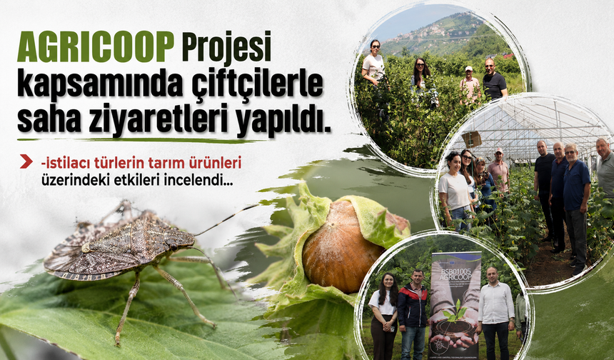 AGRICOOP Projesi kapsamında çiftçilerle saha ziyaretleri yapıldı.