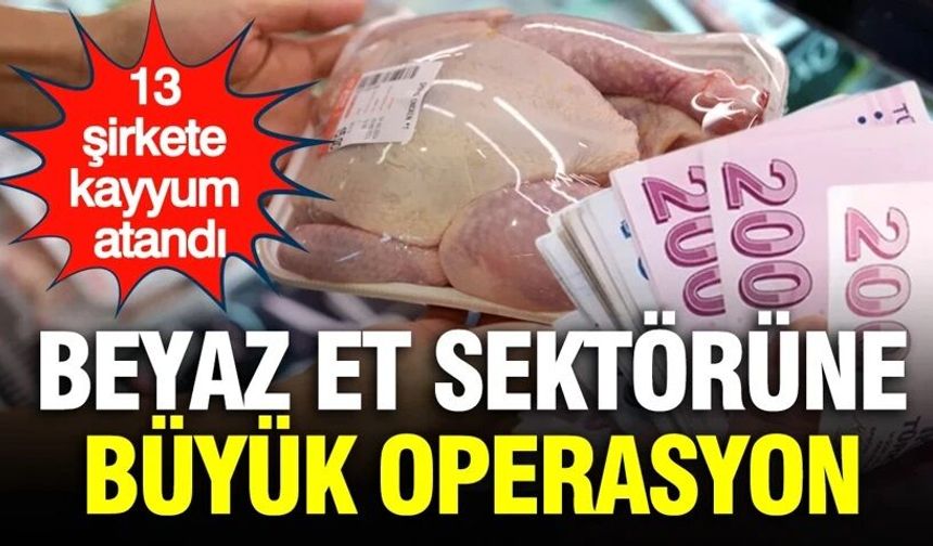 Beyaz et sektörüne büyük operasyon: 13 şirkete kayyum atandı