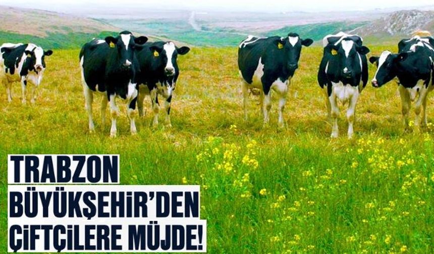 Trabzon’da Büyükşehir’den çiftçilere müjde!