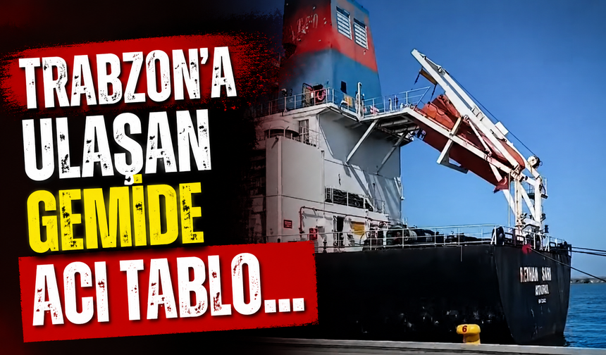 Trabzon'a ulaşan gemide acı tablo…